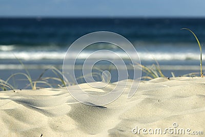 Sand Dune on beach Stock Photo