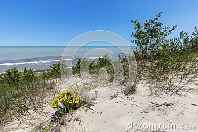 Sand Dune Ridge looking out over Lake Huron - Pinery Provincial Stock Photo