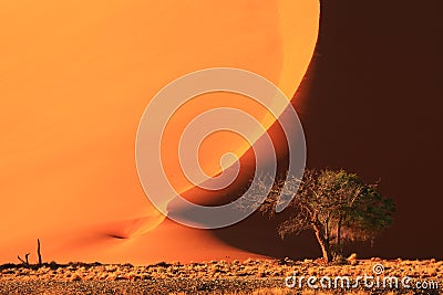 Sand Dune in Sossusvlei Stock Photo