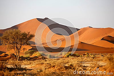 Sand dunes 3 Stock Photo