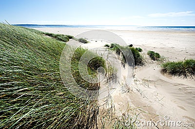 Sand dunes along the shoreline Stock Photo