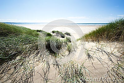 Sand dunes along the shoreline Stock Photo