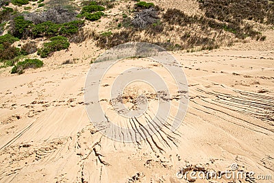 Sand dunes in Rocha, Uruguay Stock Photo