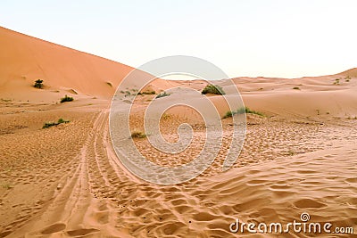 sand dunes in desert, photo as background Stock Photo