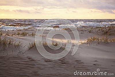 Sand dunes in evening sunlight Stock Photo