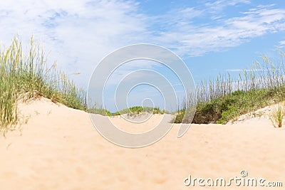 Sand Dunes Stock Photo