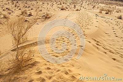 Sand dunes in Kyzylkum Desert, Uzbekistan Stock Photo