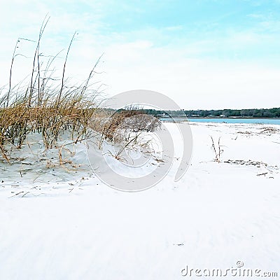 Sand dunes by the ocean white shore beach Stock Photo