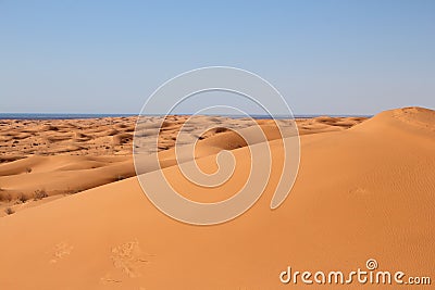 Sand dunes of Pinacate park near puerto peÃ±asco, sonora X Stock Photo
