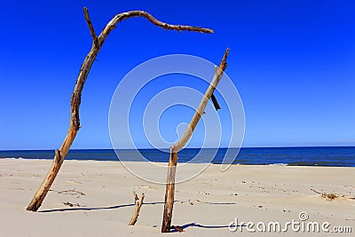 Panoramic landscape view of sand dunes and beach along the Baltic Sea shore line near Gdansk in Poland Stock Photo