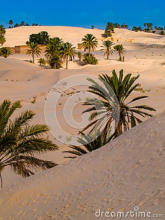 Sand dunes in the sahara desert near Douz Tunisia Africa Stock Photo