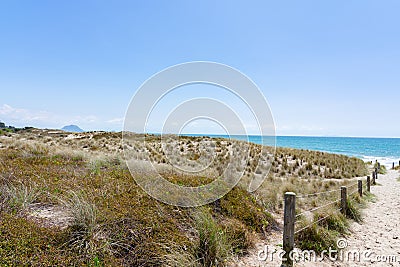 Sand dunes and sea of Papamoa, Mount Maunganui Stock Photo