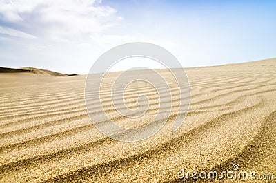 Sand dunes in sunny day. Stock Photo