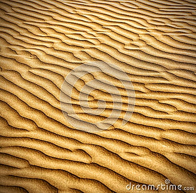 Sand and dunes of the Thar Desert. Stock Photo