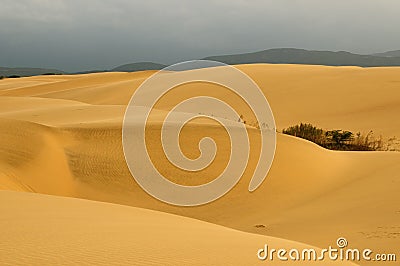 Sand dunes in Venezuela near the city of Coro Stock Photo