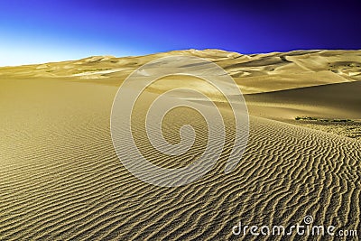 Sand dunes vista during golden hour Stock Photo