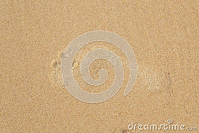 Sand footprint beach, sea Stock Photo