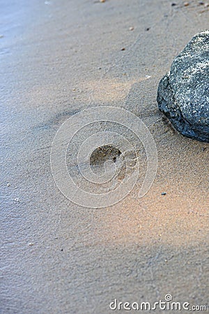 Sand footprint water by lake Stock Photo