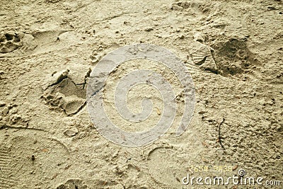 Sand on the ground at the beach. Rough surface texture in nature. Stock Photo