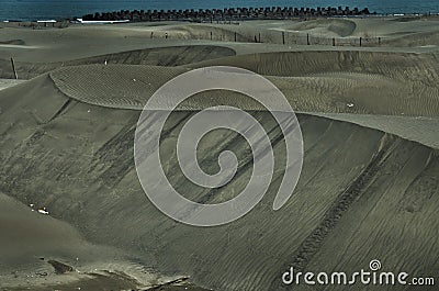 The sand landscape with woods and levees in Taiwan. Stock Photo