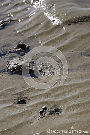 Sand Ripples Stock Photo