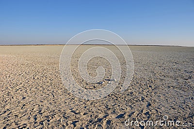 Sand, salt and savannah - the etosha salt pans in Namibia Stock Photo