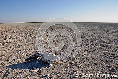 Sand salt and savannah till the endless horizon at the etosha sa Stock Photo