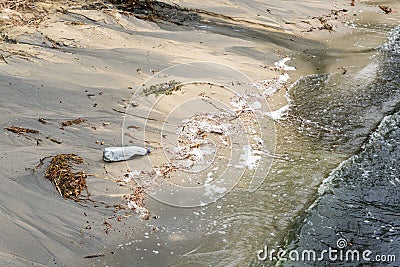Sand sea or lake beach polluted with plastic bottles and black harmful toxic sewage chemicals. Nature contaminated with Stock Photo