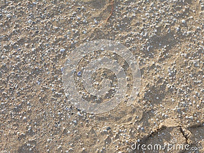 Sand stones and sea shell background Stock Photo