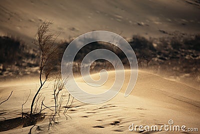 Sand storm in desert Stock Photo