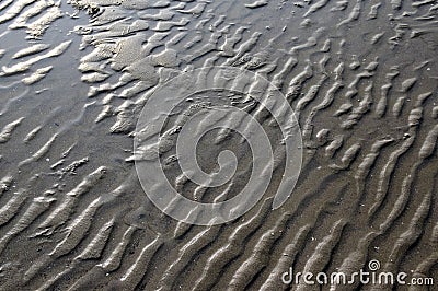 Sand texture. Background with beige fine sand. Sharp lines of waves on sand. Sand surface on the beach, side view. Stock Photo