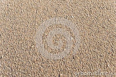 Sand texture at dawn in Thailand with large shells Stock Photo