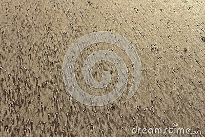 Sand Textures at the beach Stock Photo