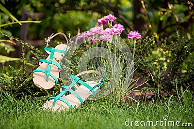 Sandals hanging on a bush, women's shoes Stock Photo