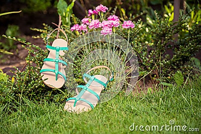 Sandals hanging on a bush, women's shoes Stock Photo