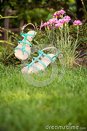 Sandals hanging on a bush, women's shoes Stock Photo