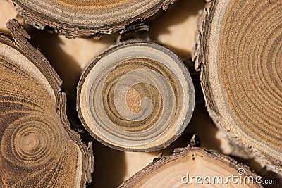 Sandalwood core macro Stock Photo