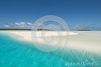 Flooded Sandbar, white sand, turquoise clear ocean water of Southern Pacific, small islands, palms, Aitutaki, Cook Islands Stock Photo