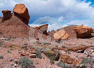 Sandstone Blocks and Wolverine Petrified Forest Stock Photo