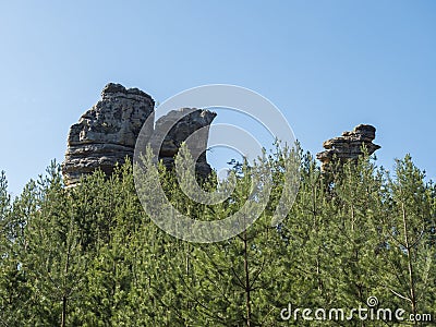 Sandstone rock pillar in spring landscape in Lusatian Mountains with fresh deciduous and spruce tree forest. Blue sky Stock Photo