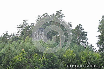 Sandstone tower in forest Stock Photo
