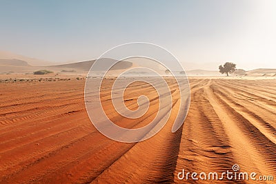 Sandstorm in Sossusvlei in the Namib desert Stock Photo