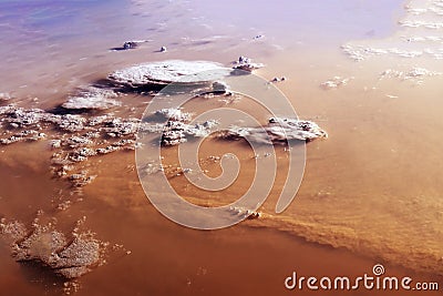 Sandstorm from space. Elements of this image furnished by NASA Stock Photo