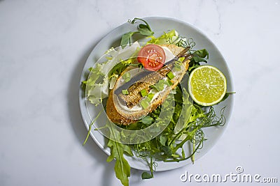 Sandwich in a can appetizer , eating lunch delicious product gourmet fresh dill on wooden background Stock Photo