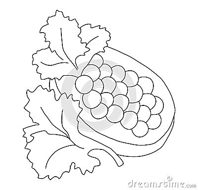 Outline of sandwich with caviar and two leaves of parsley Cartoon Illustration