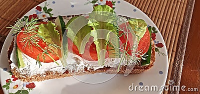 Sandwich with cheese, tomatoes, lettuce and herbs Stock Photo