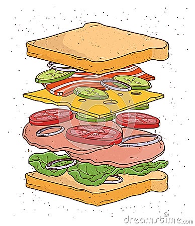 Sandwich concept ingredients. Bread, salad, tomato, cheese, bacon, onion, Colorful hand drawn vector illustration. Vector Illustration