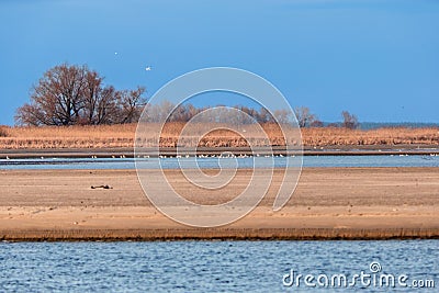 Sandy banks of the shallowed Dnieper River Stock Photo