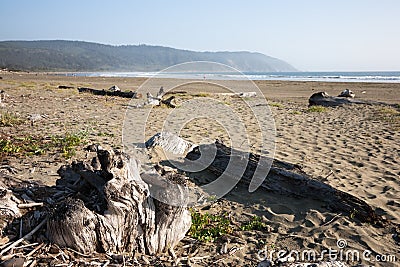 Sandy Beach Stock Photo