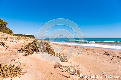 Sandy Beach Beach Playa Torn. Copy space for text. Stock Photo